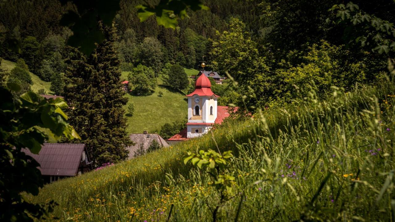 Pension U Pece Pec pod Snezkou Exterior photo