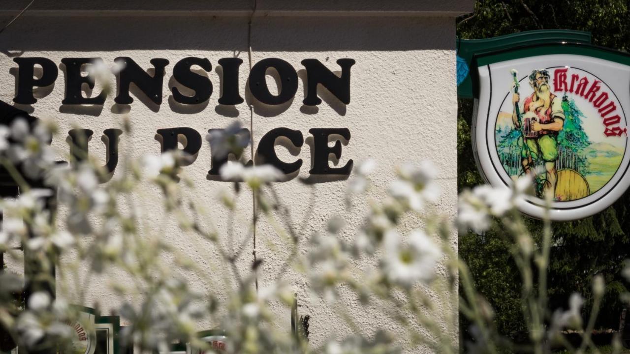Pension U Pece Pec pod Snezkou Exterior photo
